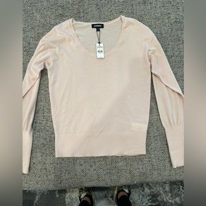 New express pale pink sheer sweater.